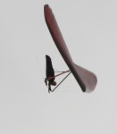 tom upstide down.JPG